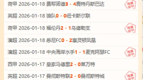 费德勒南美之行安保从简：仅求基本安全保障